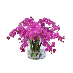 Orchid Phalaenopsis in Glass 13"