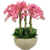Orchids in Bowl 34"