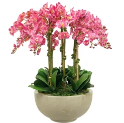 Orchids in Bowl 34"