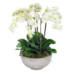 ORCHIDS IN BOWL 28"