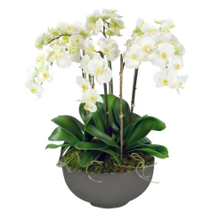 ORCHIDS IN BOWL 28"