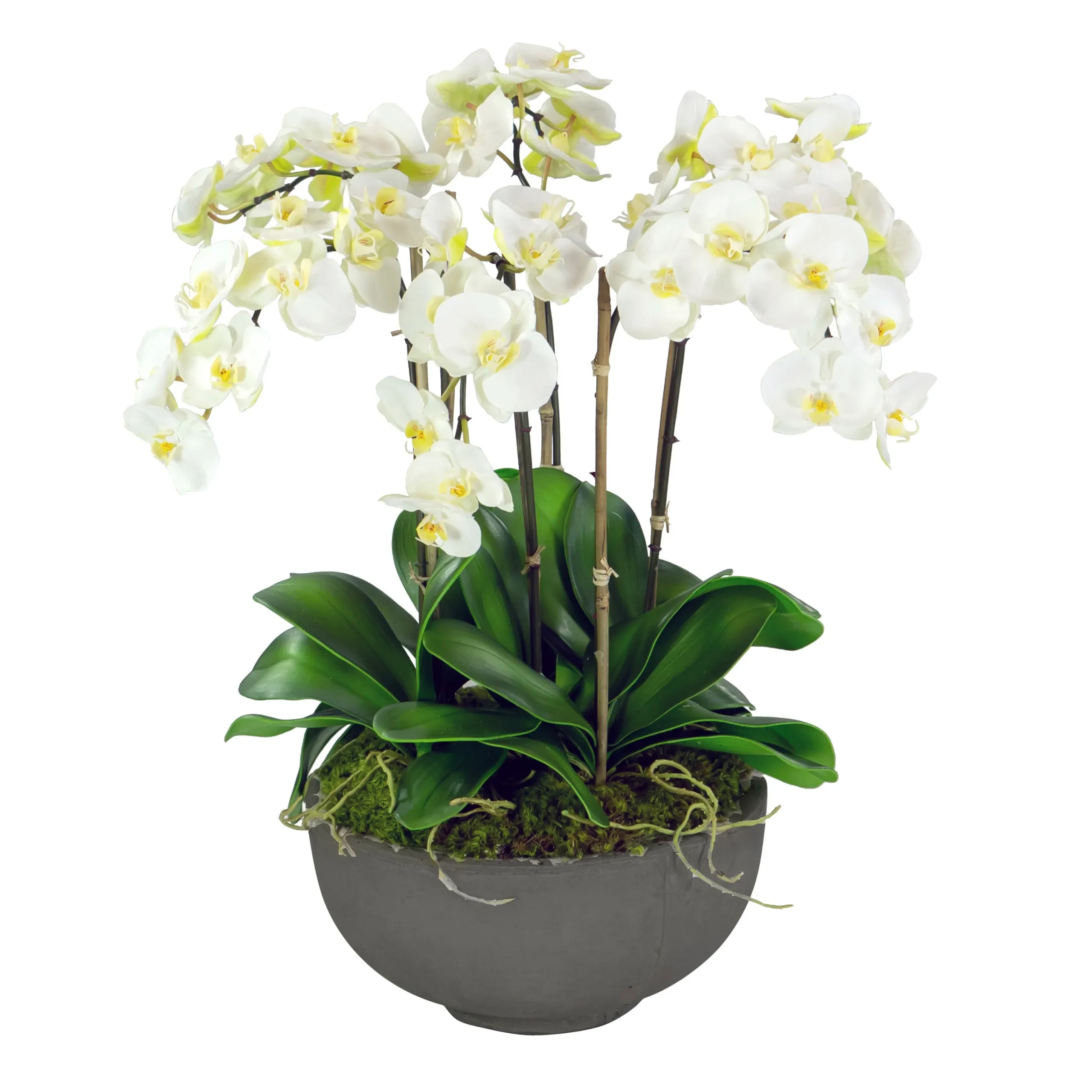 ORCHIDS IN BOWL 28"
