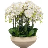 Orchids in Bowl with Taper Bottom 38"