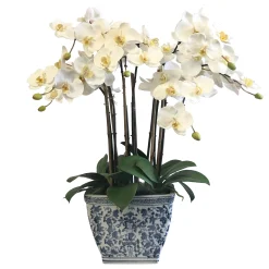 Orchids in Rect Cache Pot 26"