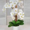 Orchids in Urban Coil Bowl 34"