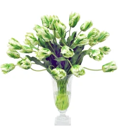 PARROT TULIP IN LEAF CUT VASE (WHD173-WHGR)