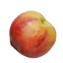 Peach (set of 6)
