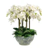 PHALAENOPSIS ORCHID IN BOWL 33"