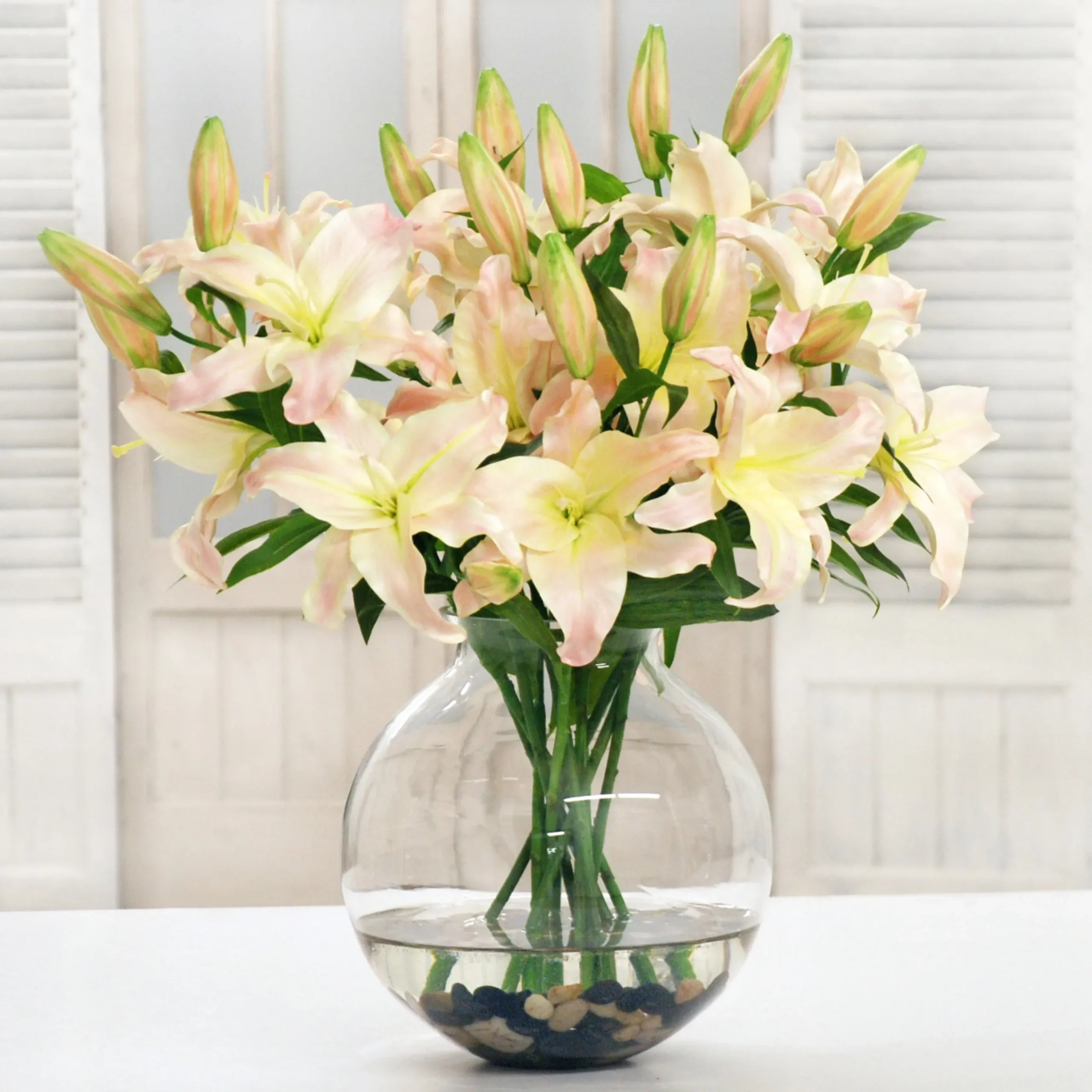 PINK LILY CASABLANCA CENTERPIECE (DP744-LP)