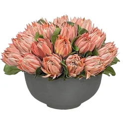Pink Protea in Bowl 18''