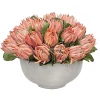 Pink Protea in Bowl 18''