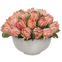 Pink Protea in Bowl 18''