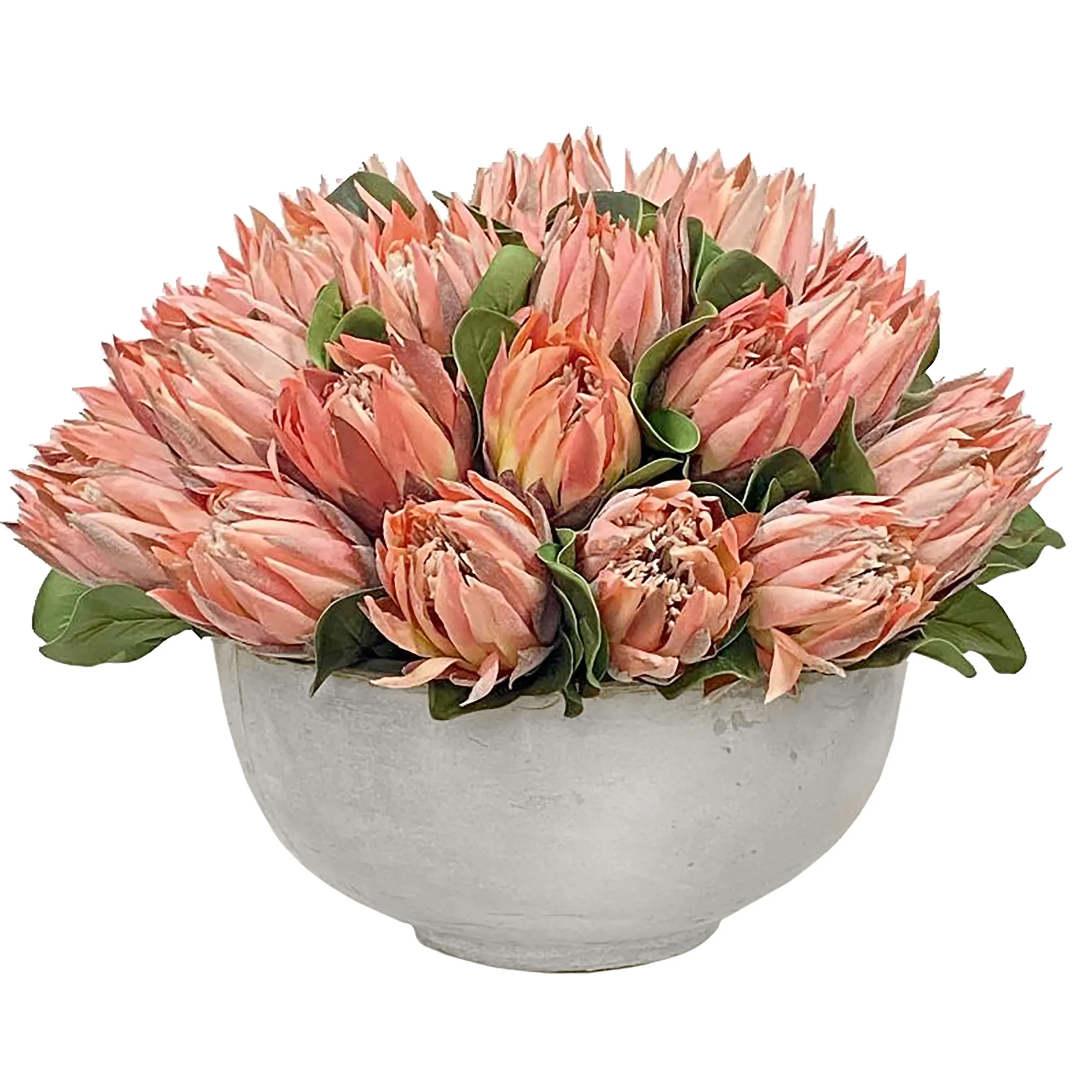 Pink Protea in Bowl 18''