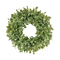 Pittosporum Spray Wreath 24"
