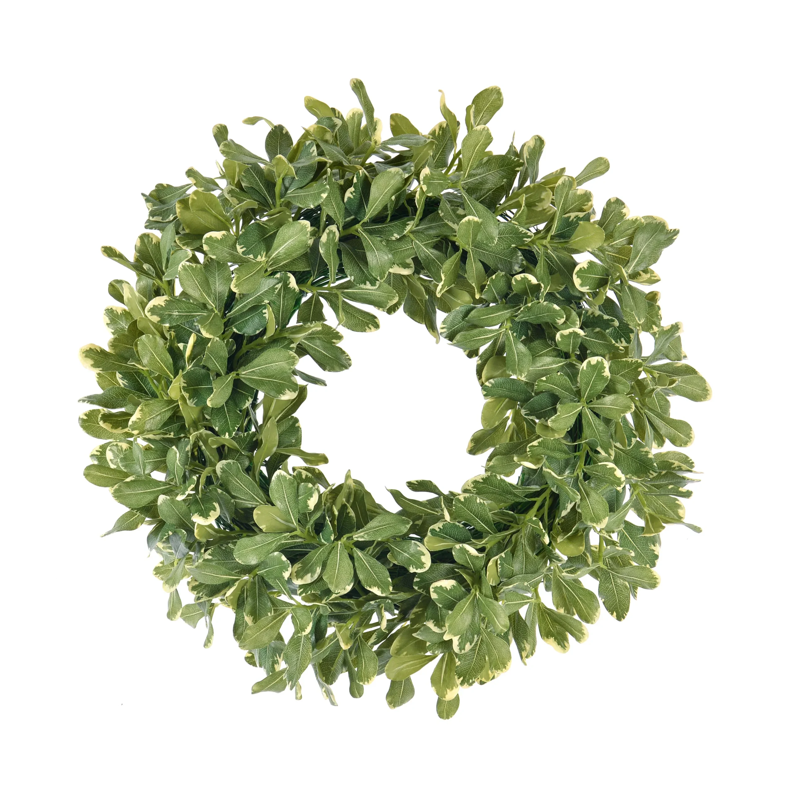 Pittosporum Spray Wreath 24"