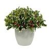 Pointed Holly in Floral Cathe Pot 14"