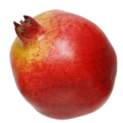 POMEGRANATE (set of 6)