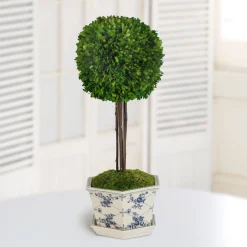 Preserved Boxwood Ball in Pot Cache 28"