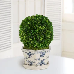 Preserved Boxwood Ball in Pot Cache 18"