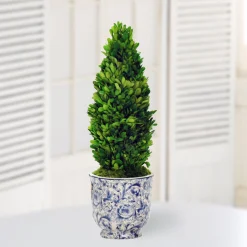 PRESERVED BOXWOOD CONE IN CHINOISERIE POT 20"