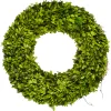 Preserved Boxwood Wreath 20" Single-side