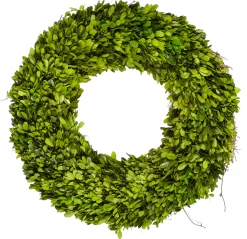 Preserved Boxwood Wreath 20" Single-side