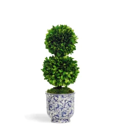 PRESERVED DOUBLE BOXWOOD IN CHINOISERIE POT 20"
