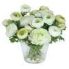 RANUNCULUS IN GLASS 10"