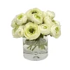 Ranunculus in Vase 9"