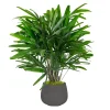 RHAPIS PALM IN STONECAST PLANTER 3'