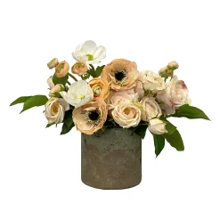 Rose Anemone in Pot 12"