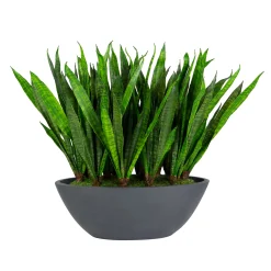 SANSEVIERIA IN OVAL PLANTER 26"