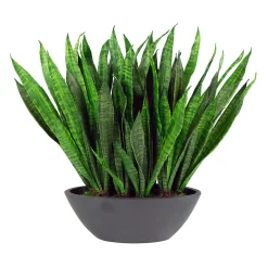 SANSEVIERIA IN OVAL PLANTER 22" (WHD292-GR)
