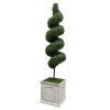 Spiral Boxwood in Square Planter 6.5'