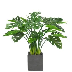 SPLIT LEAF PHILO PLANTER 3.7'