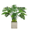 SPLIT LEAF PHILO PLANTER 3.7'