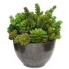 SUCCULENT CRETE BOWL 13''