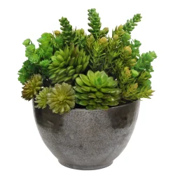 SUCCULENT CRETE BOWL 13''