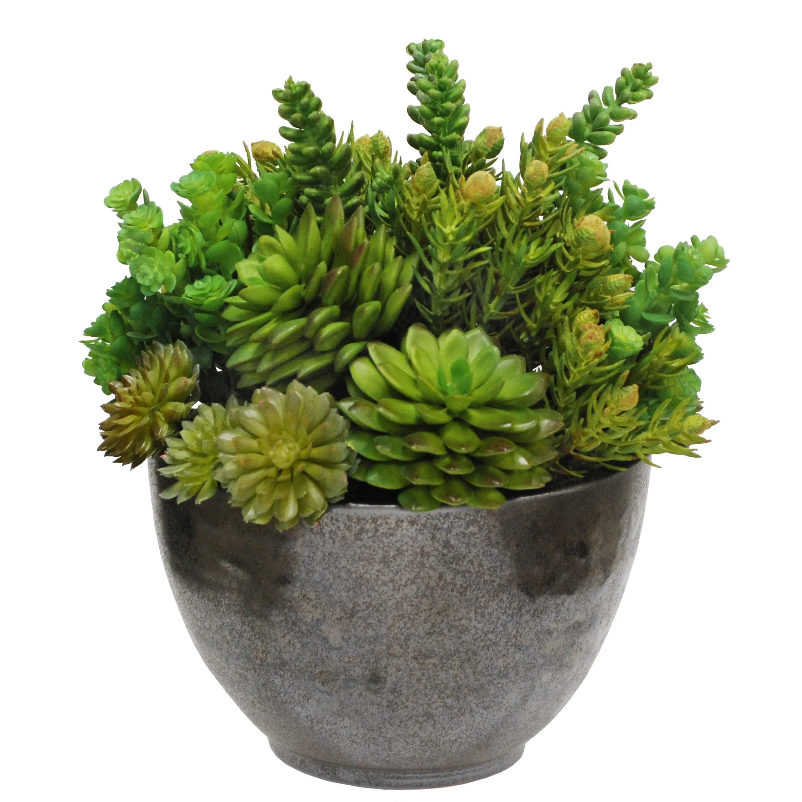 SUCCULENT CRETE BOWL 13''