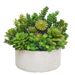 Succulent Garden Planter 14" Wide
