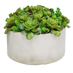 SUCCULENT GARDEN PLANTER (WHD203-GRTP)