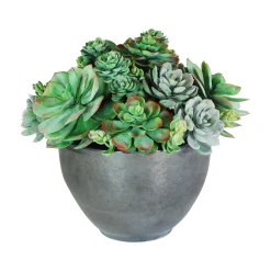 SUCCULENT MIX IN BOWL 16"