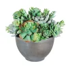 SUCCULENT MIX IN BOWL 11"