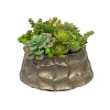 Succulent Mix in Modern Pot 10"