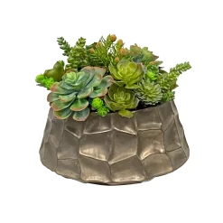 Succulent Mix in Modern Pot 10"