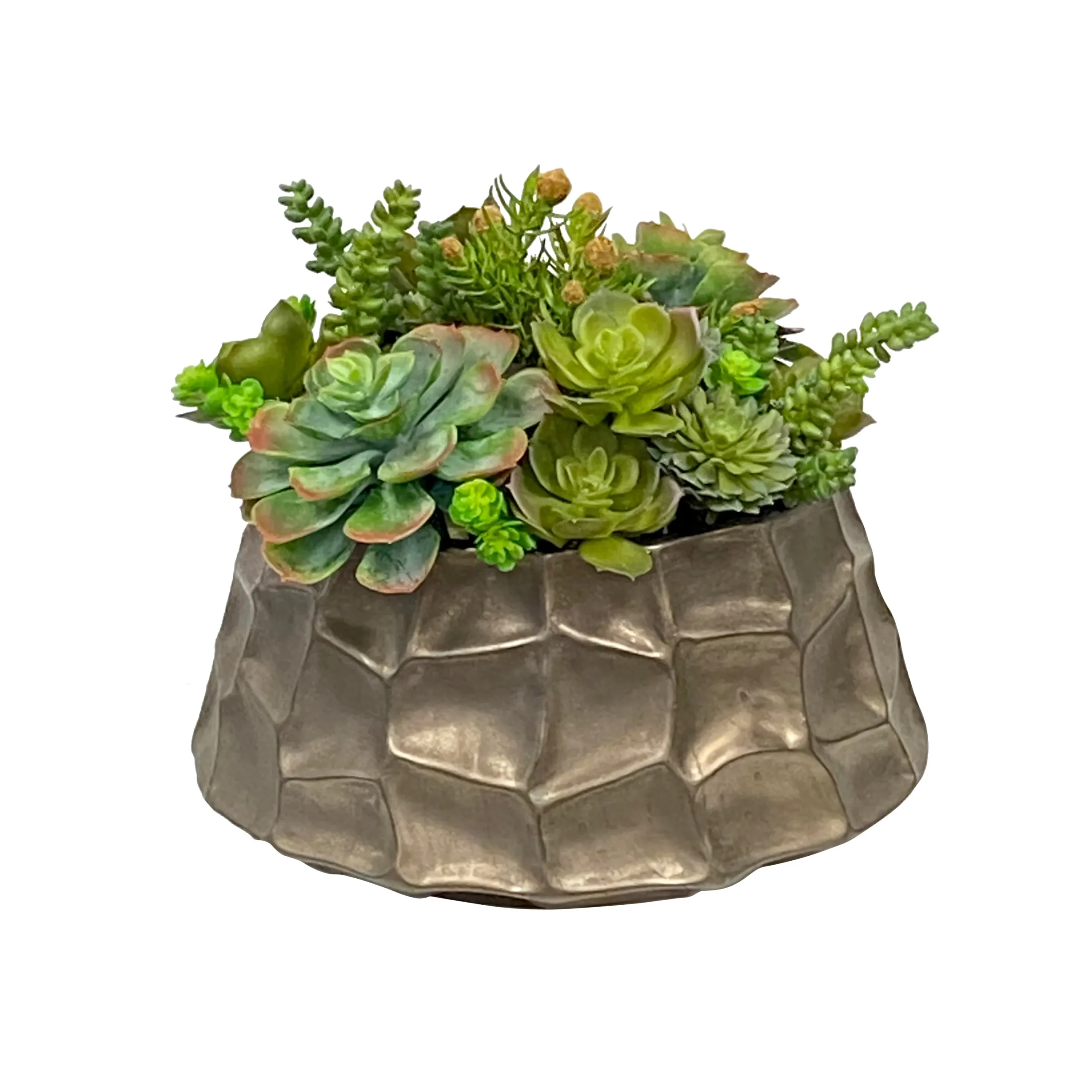 Succulent Mix in Modern Pot 10"