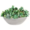 SUCCULENT MIX IN OVAL PLANTER 14''