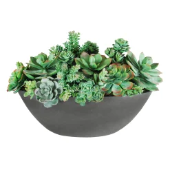 SUCCULENT MIX IN OVAL PLANTER 14"