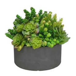 Succulent Tall Garden Planter 14"