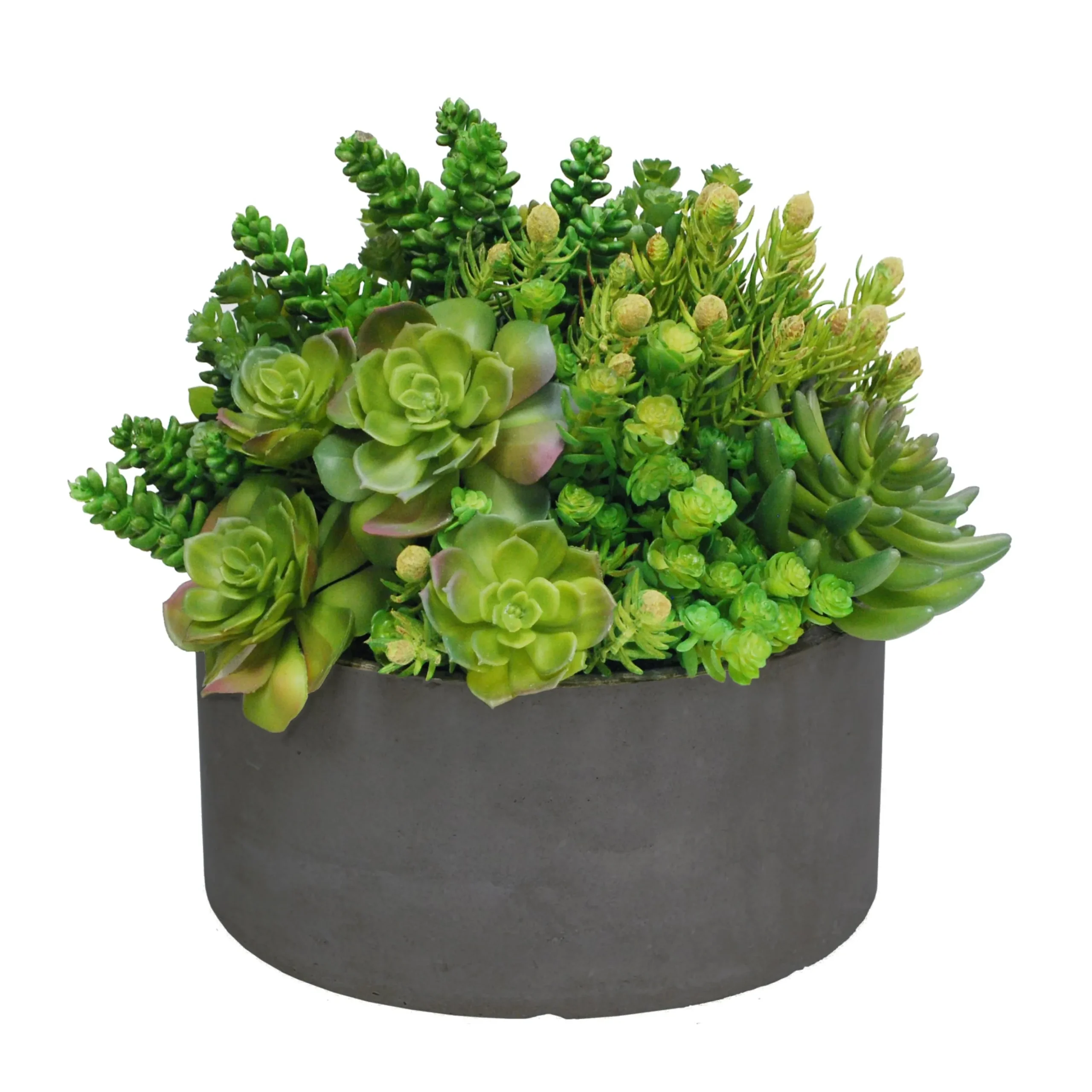 Succulent Tall Garden Planter 14"